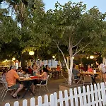 Palmiye Hotel Özdere