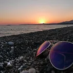 Palmiye Özdere