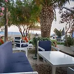 Palmiye Özdere