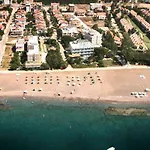 Palmiye Özdere