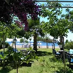 Hotel Palmiye