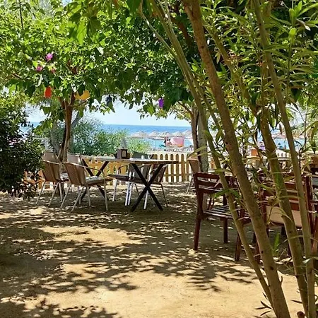 Palmiye 3* Özdere