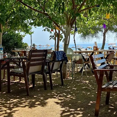 Palmiye Hotell