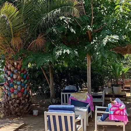 Palmiye Hotel Özdere