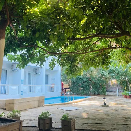 Palmiye Hotel Özdere