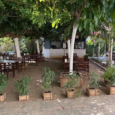 Palmiye 3*