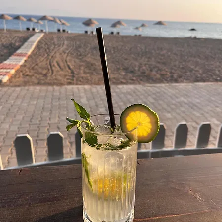 Palmiye Özdere