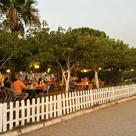 Palmiye Hotell Özdere