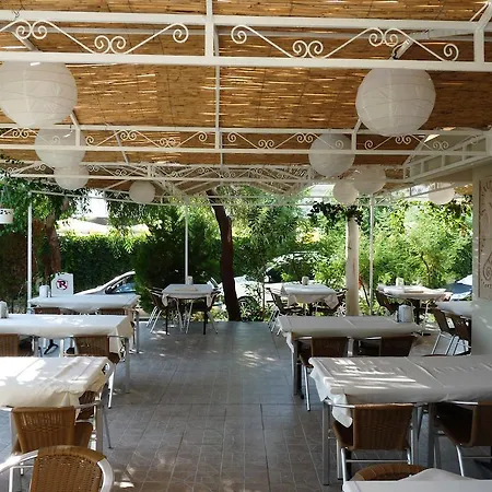 Hotell Palmiye