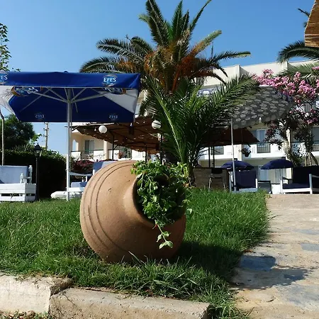 Palmiye Özdere