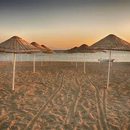 Hotell Palmiye