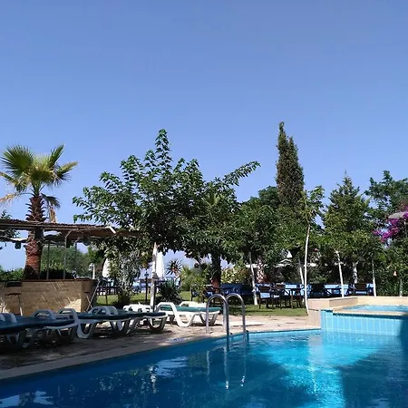 Palmiye Hotell