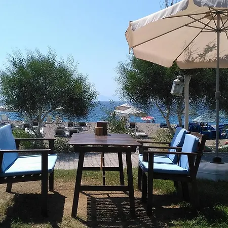 Hotell Palmiye
