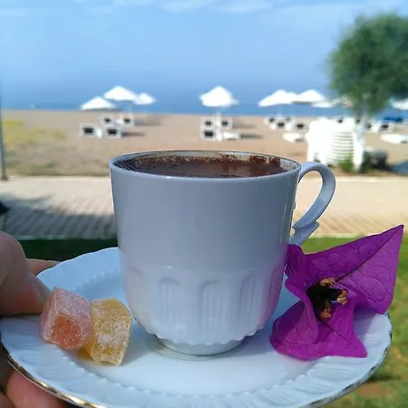 Hotell Palmiye Özdere