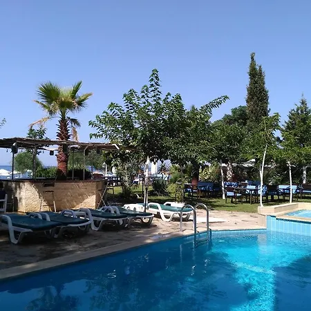 Hotell Palmiye