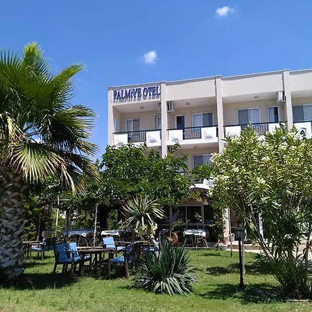 Palmiye
