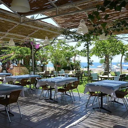 Palmiye Hotell Özdere