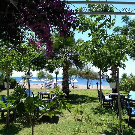 Hotell Palmiye