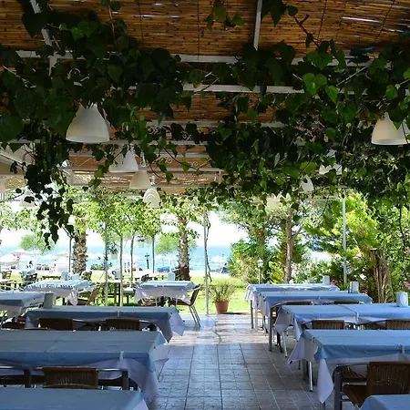 Palmiye 3*