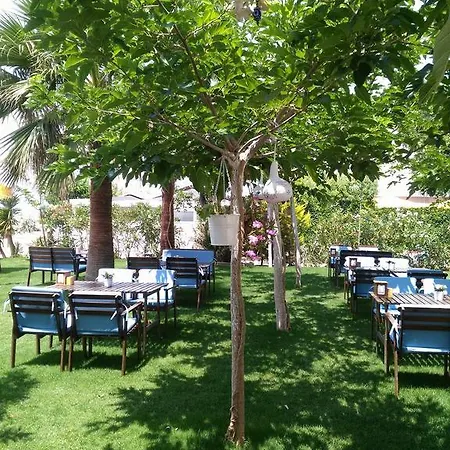 Hotell Palmiye 3*