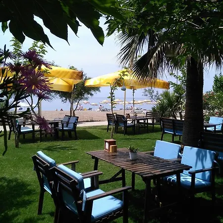 Palmiye Hotell 3*