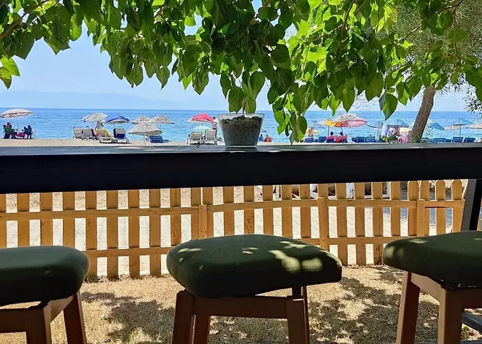 Palmiye Hotel Özdere