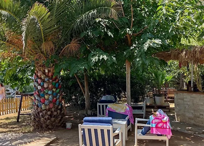 Palmiye Hotel Özdere