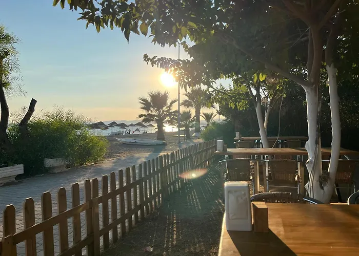 Palmiye Hotel 3*