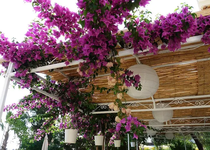 Hotel Palmiye Özdere