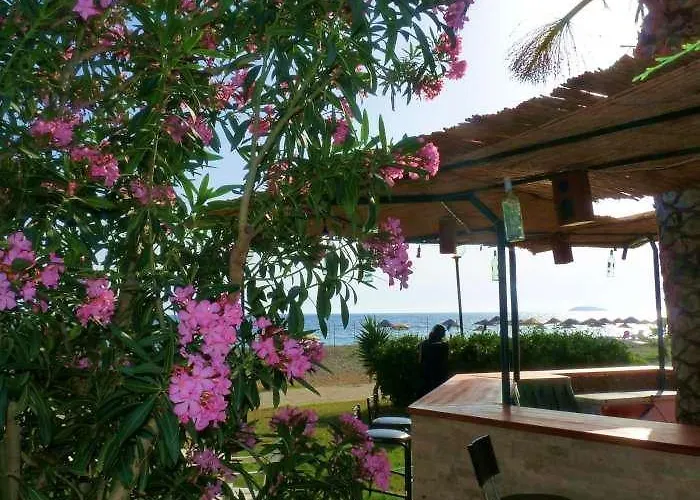 Hotel Palmiye Özdere