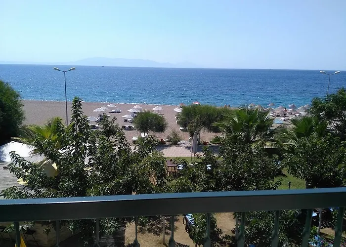 Palmiye Özdere