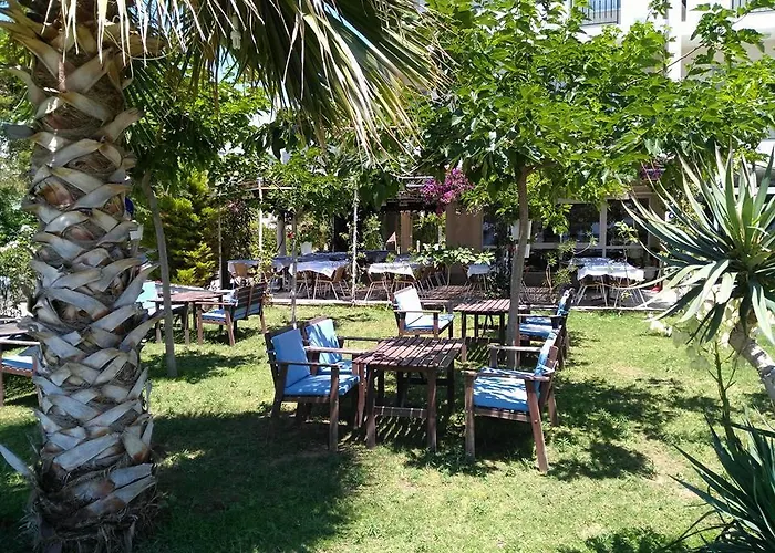 Palmiye 3*