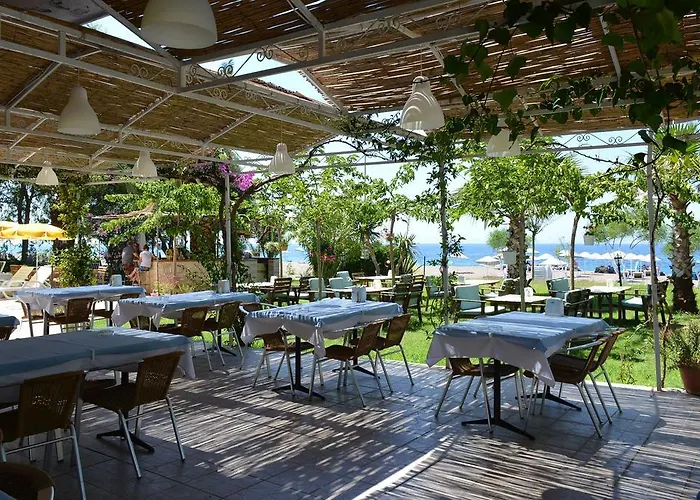 Palmiye Hotel Özdere