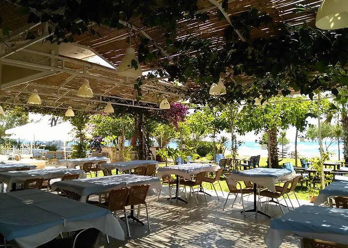 Hotel Palmiye 3*
