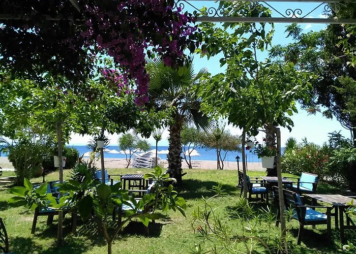Hotel Palmiye