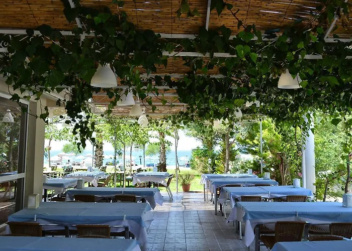 Palmiye 3*