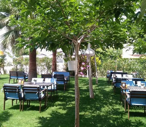 Hotel Palmiye 3*