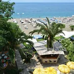 Palmiye Özdere