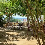 Palmiye 3* Оздере