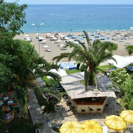 Palmiye Оздере