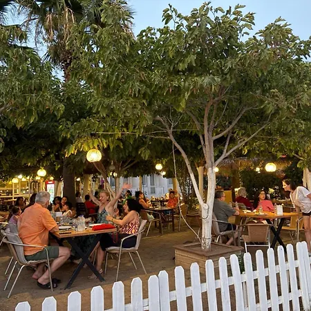 Palmiye Hotel Ozdere