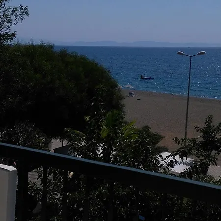 Отель Palmiye 3*
