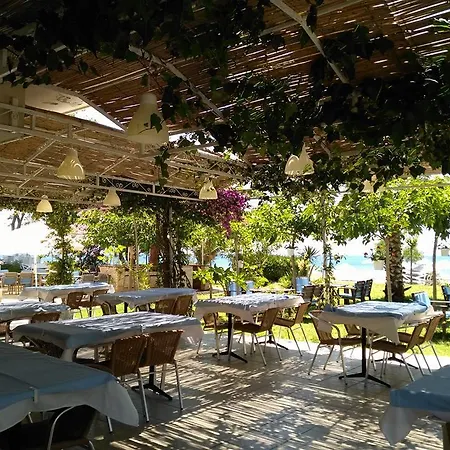 Отель Palmiye 3*