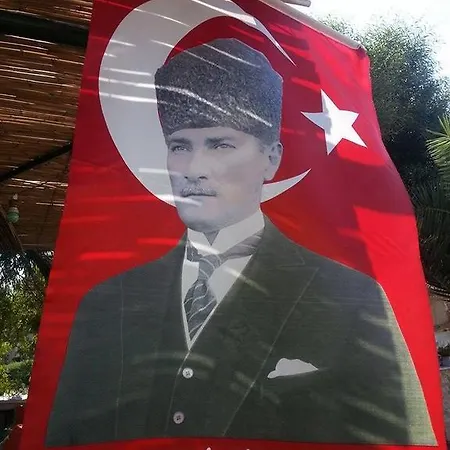Palmiye Отель