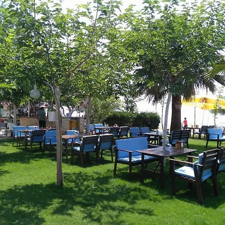 Отель Palmiye