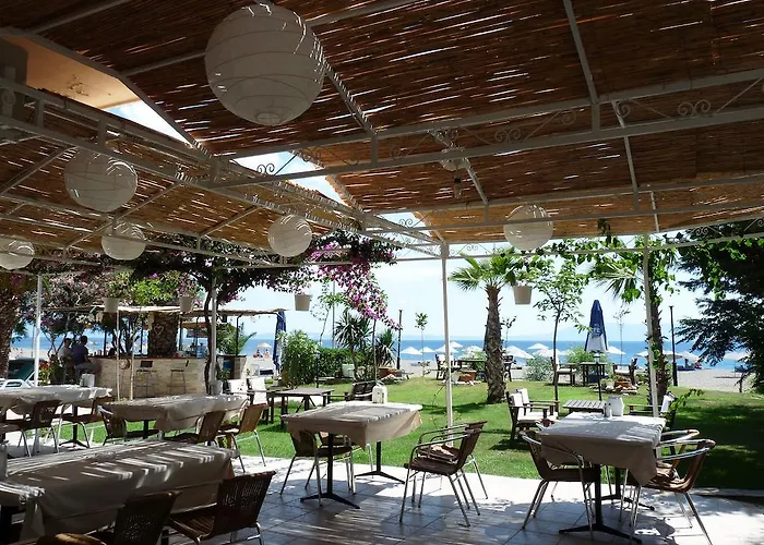 Hotel Palmiye Özdere