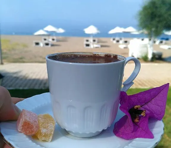 Hotel Palmiye Özdere