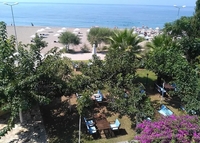 Palmiye Hotel Özdere